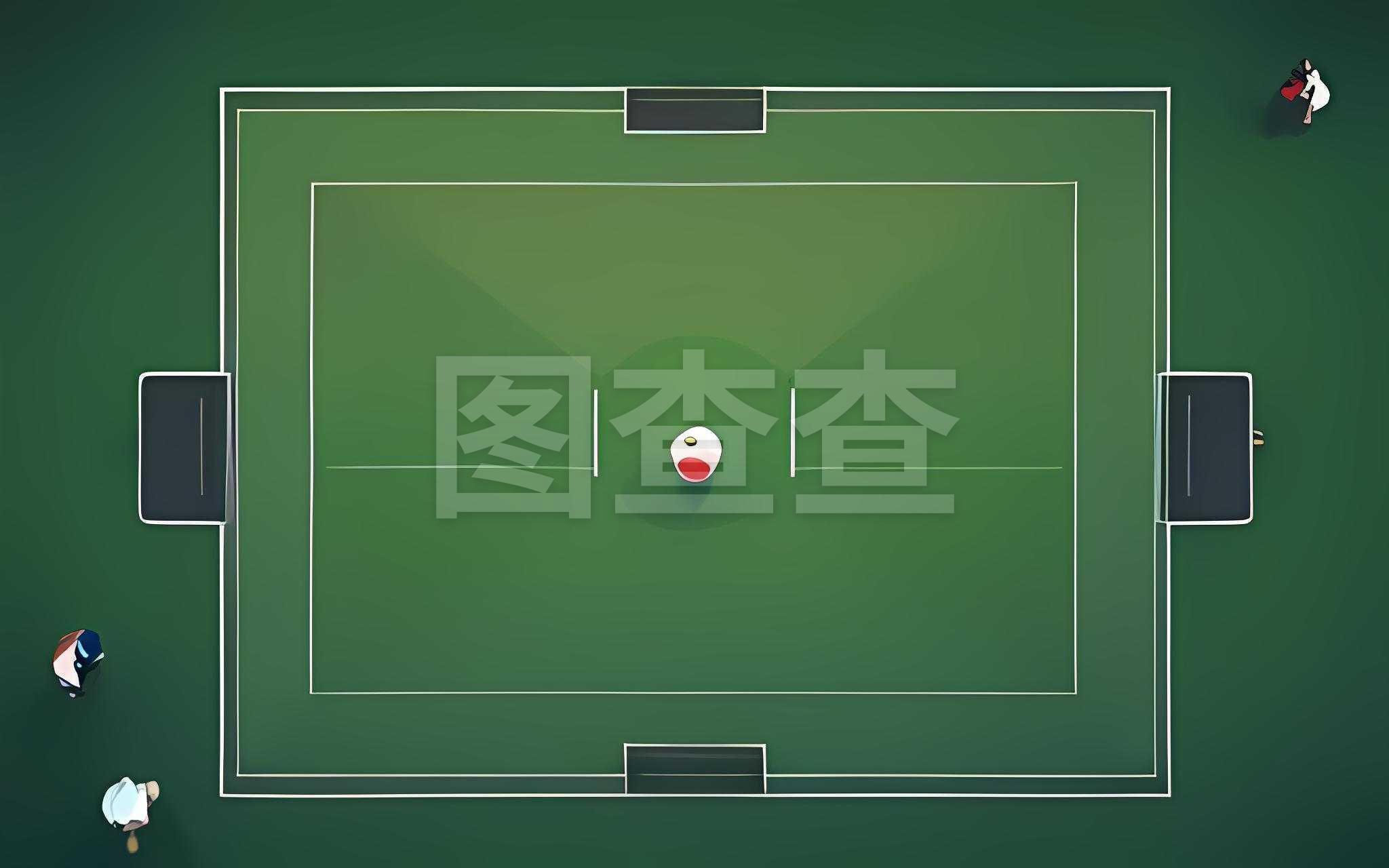中国混双组