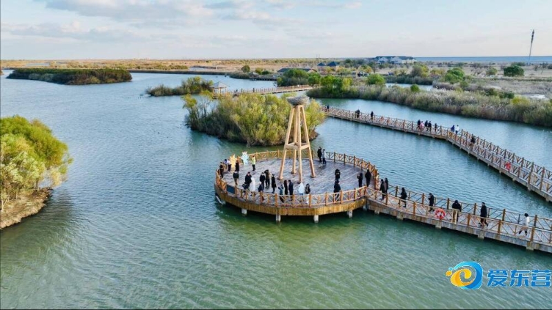 回看比赛时 回看比赛时