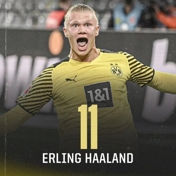 出牌风险 出牌风险